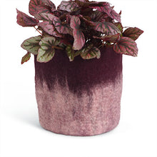 Load image into Gallery viewer, Flower Pot 18 - L
