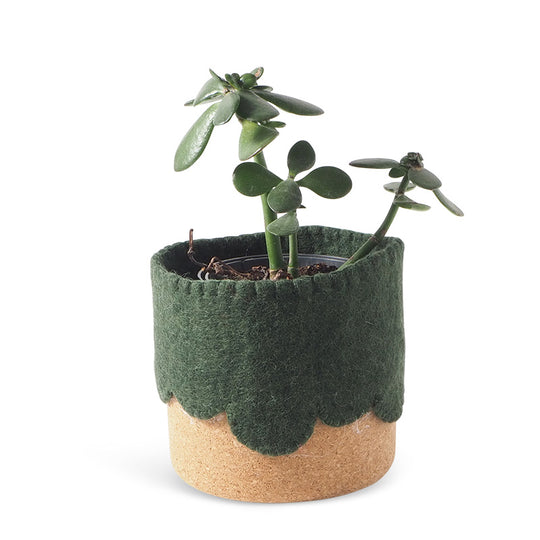 Flower Pot 22