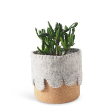 Load image into Gallery viewer, Flower Pot 22