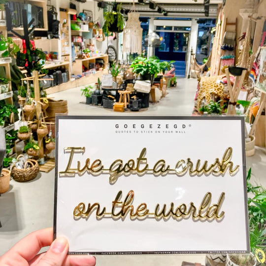 sticker quote - I've got a crush on the world