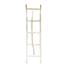 Load image into Gallery viewer, XL Decorative Ladder with Stand