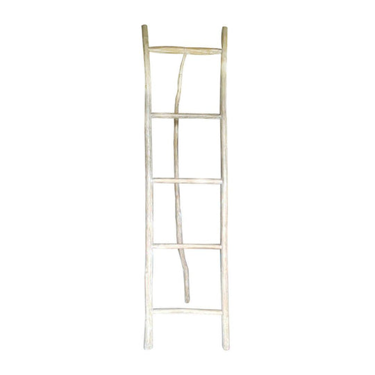 XL Decorative Ladder with Stand