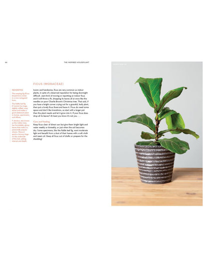 INSPIRED HOUSEPLANT Transform Your Home with Indoor Plants from Kokedama to Terrariums and Water Gardens to Edibles