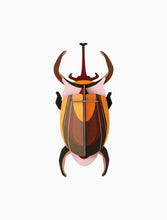 Load image into Gallery viewer, Elephant Beetle