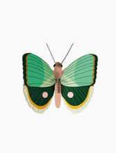 Load image into Gallery viewer, Fern Striped Butterfly