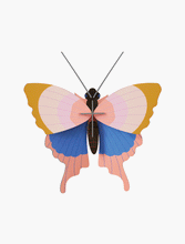 Load image into Gallery viewer, Golden Rim Butterfly