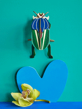 Load image into Gallery viewer, Mimela Scarab Beetle
