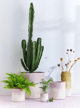Load image into Gallery viewer, Flower Pot 18 - M