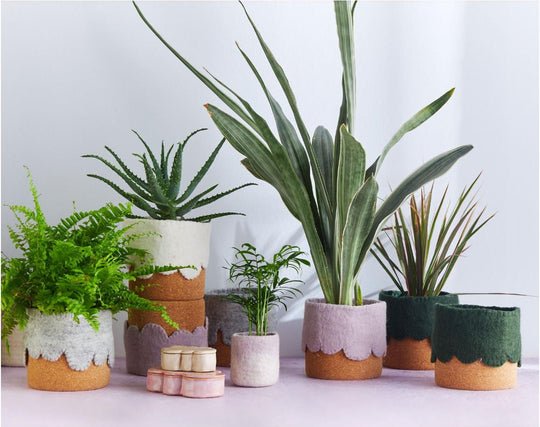 Flower Pot 22