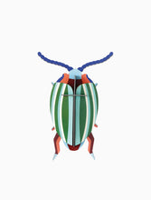 Load image into Gallery viewer, Rainbow Leaf Beetle
