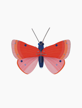 Load image into Gallery viewer, Speckled Copper Butterfly
