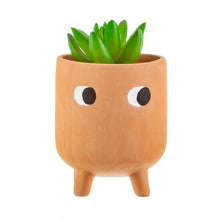 Load image into Gallery viewer, Little Leggy Terracotta Planter