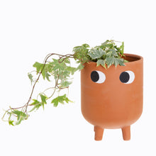 Load image into Gallery viewer, Little Leggy Terracotta Planter