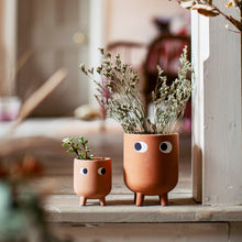 Load image into Gallery viewer, Little Leggy Terracotta Planter