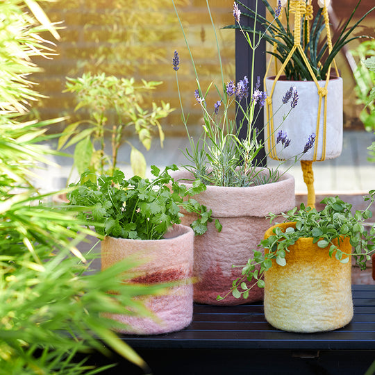 Flower Pot 18 - M