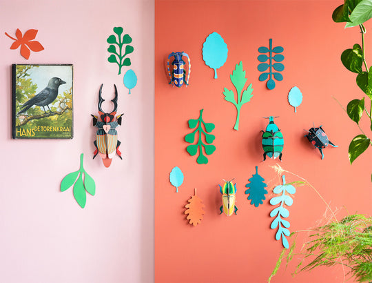 BEETLE ANTIQUARY - Wall of Curiosities