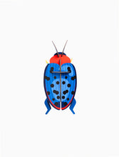 Load image into Gallery viewer, Fungus Beetle