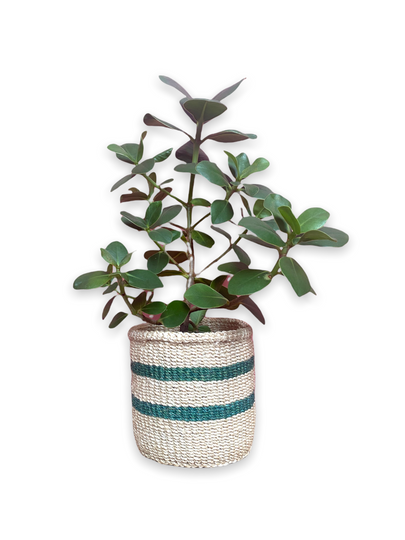 Hadithi baskets S - blue series