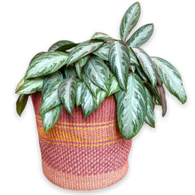 Load image into Gallery viewer, Hadithi Baskets XXL