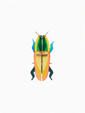 Load image into Gallery viewer, Madagascar Beetle