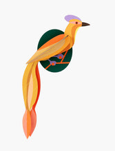 Load image into Gallery viewer, OLANGO Paradise Bird