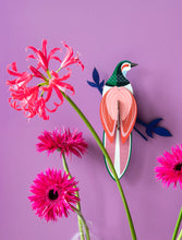 Load image into Gallery viewer, Paradise Bird RANI