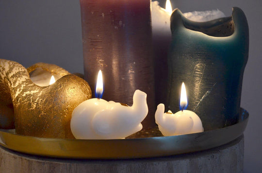 Luck in a Box - Elephant Candles
