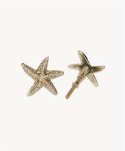 Load image into Gallery viewer, Ruby Seastar Knob - Set of 2