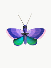 Load image into Gallery viewer, Blue Copper Butterfly