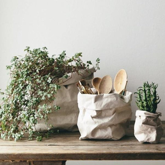 Paper Bag Large Plus